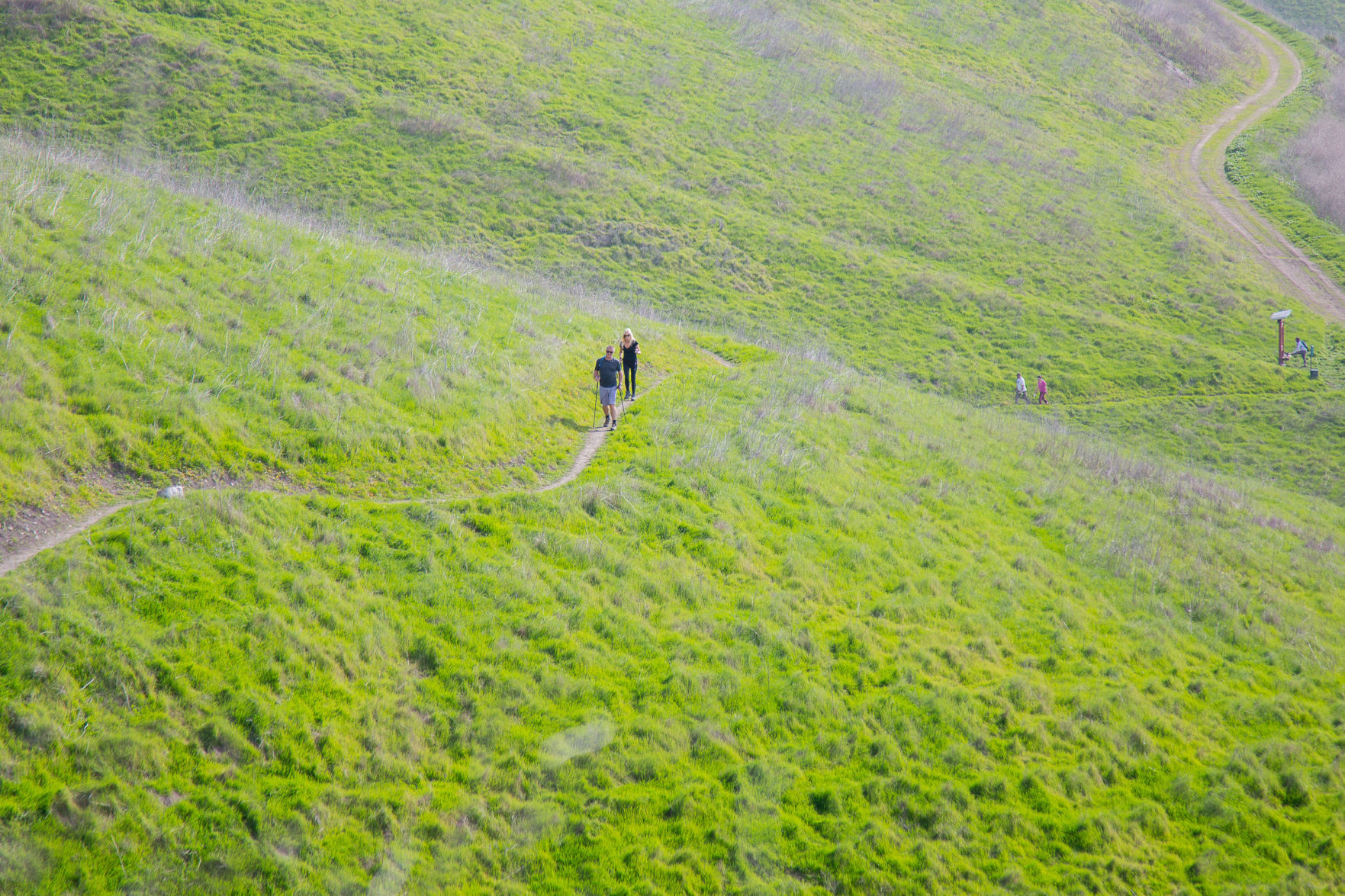 012520 Pismo Preserve 20.jpg